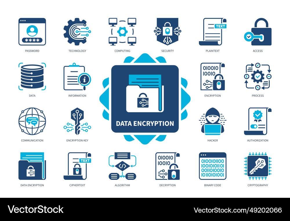 Data encryption solid icon set Data encryption solid icon set vector image