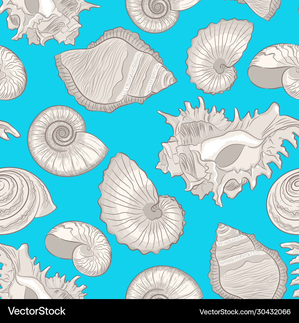 Different shells Vector Image