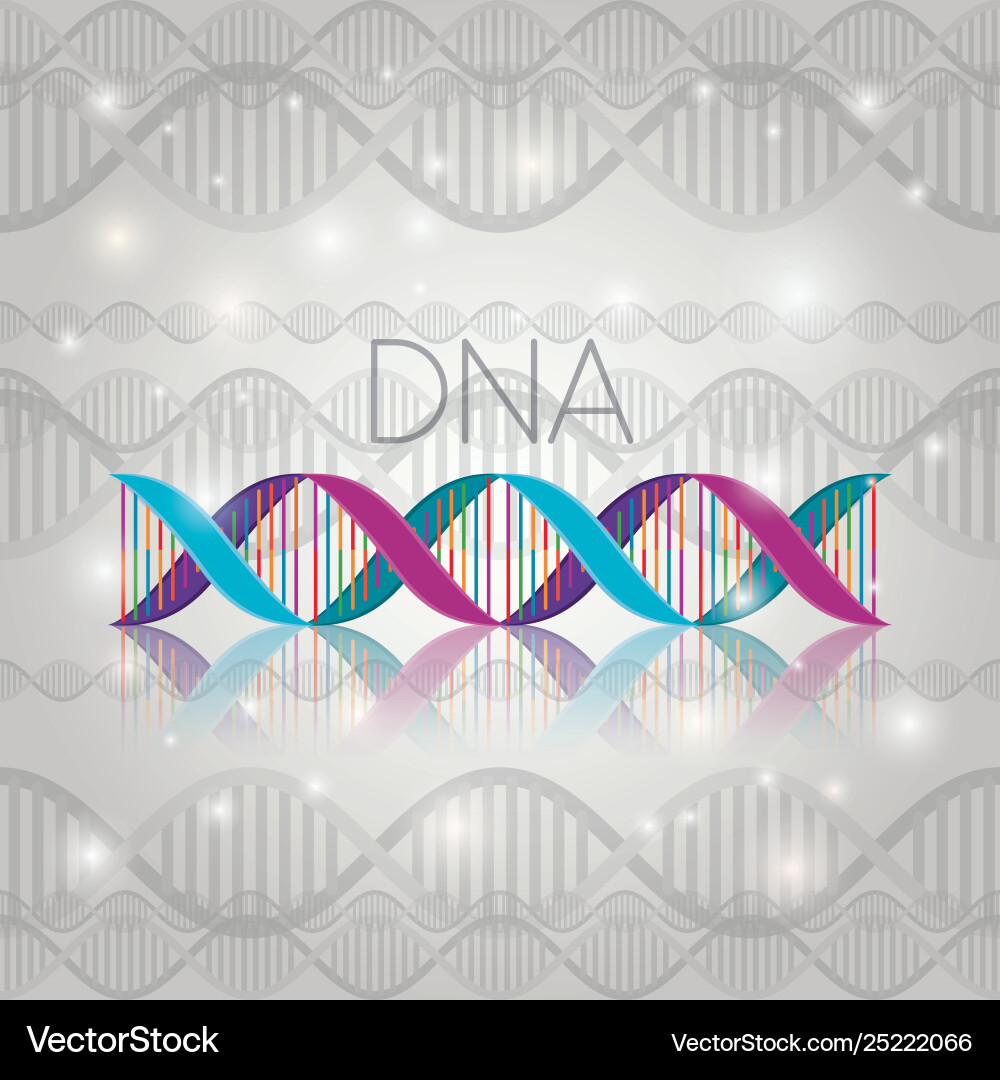 Dna molecule on line structure pattern Dna molecule on line structure pattern Vector Image