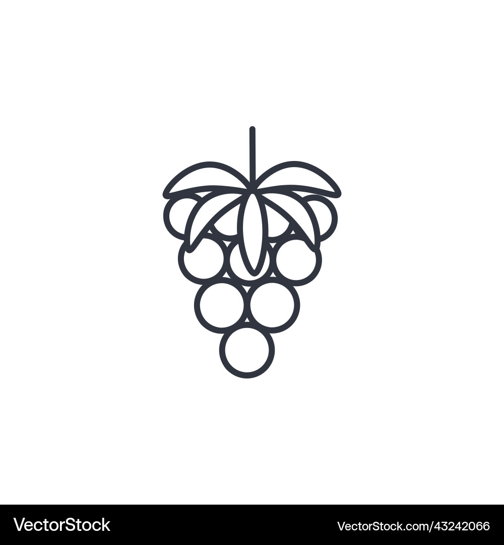 Raspberry line icon isolated vector image