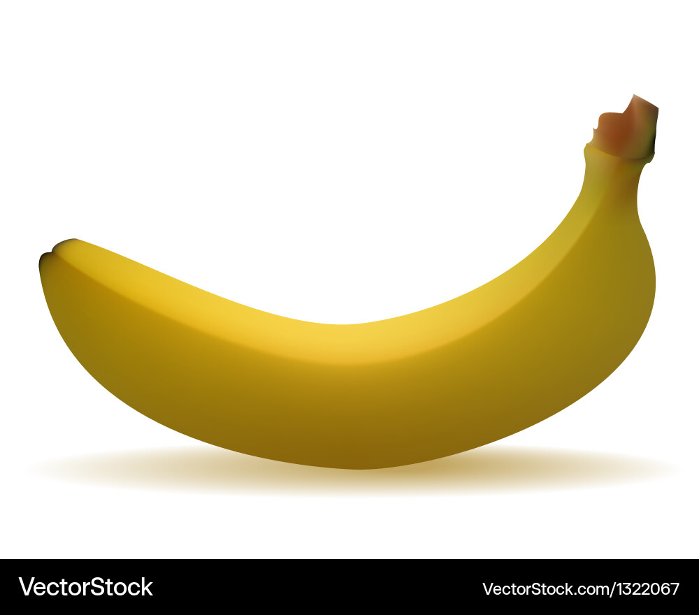 Banan (1322067) – Royalty-Free Vector | VectorStock