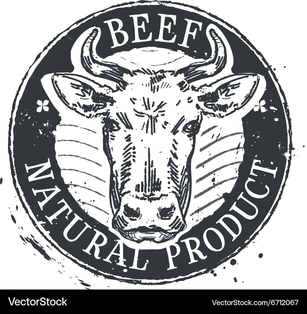 Beef Cattle Logo Template Vector Image