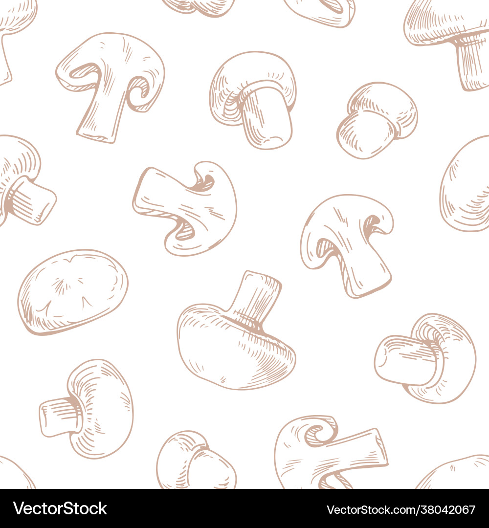 Seamless pattern with outlined champignon slices Seamless pattern with outlined champignon slices vector image