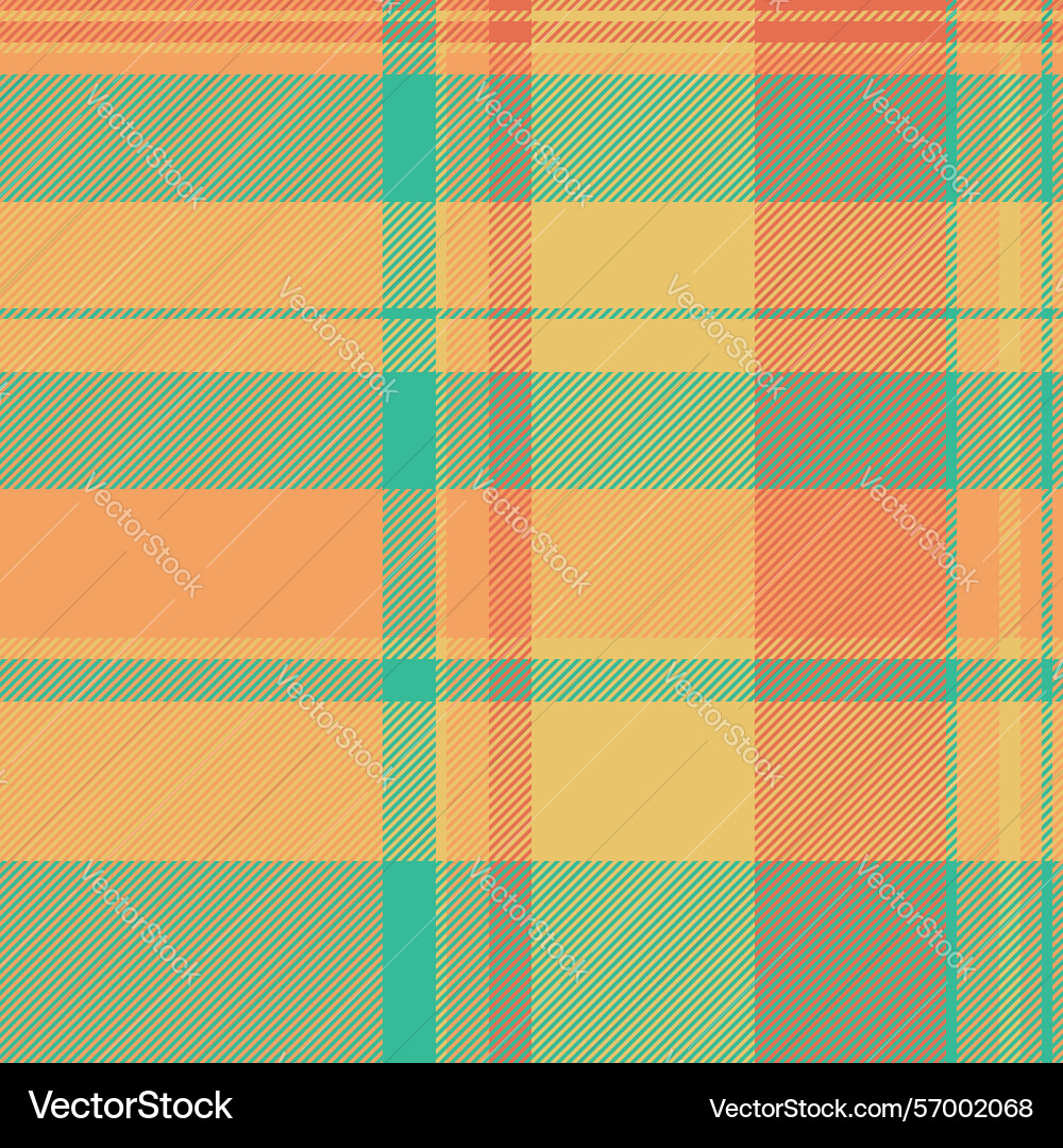 String textile tartan pattern cloth texture vector image