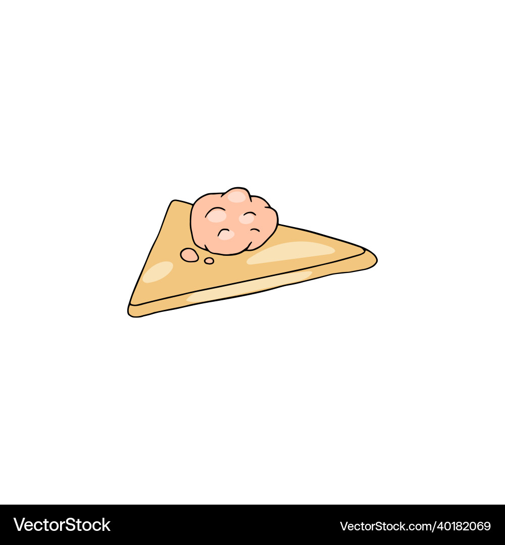 Process of making dumpling or samsa from Vector Image