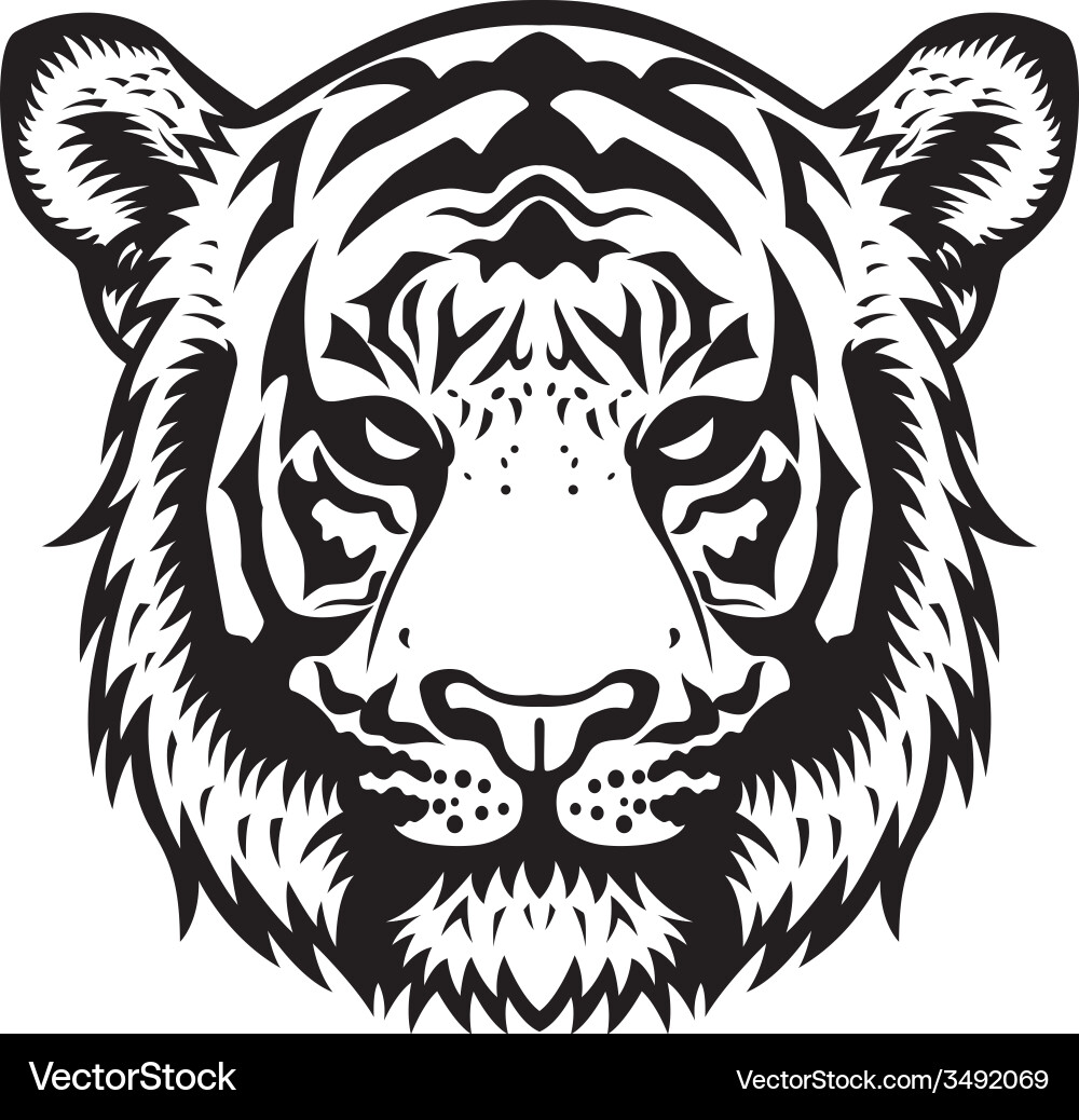 Tiger Head Monochrome Vector Image