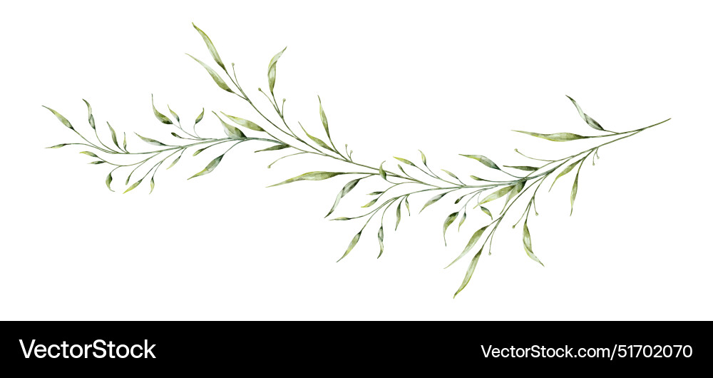 Watercolor Botanical Branch & Leaf Vector Image