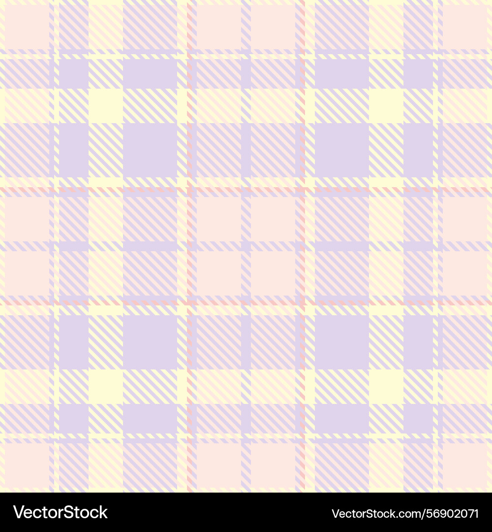 Diagonal pattern check textile decorate texture Vector Image
