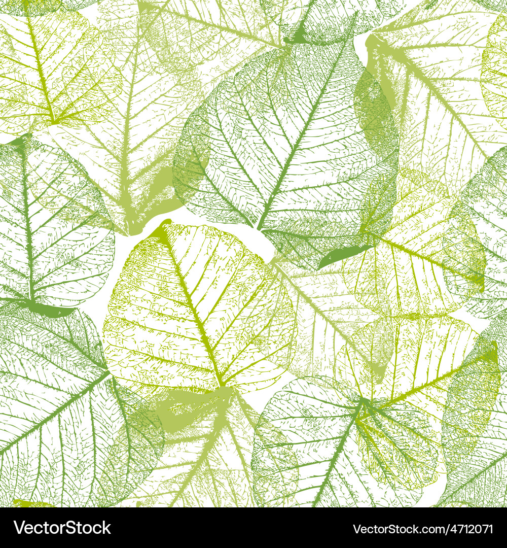 Elegant Floral Leaf Pattern Royalty Free Vector Image