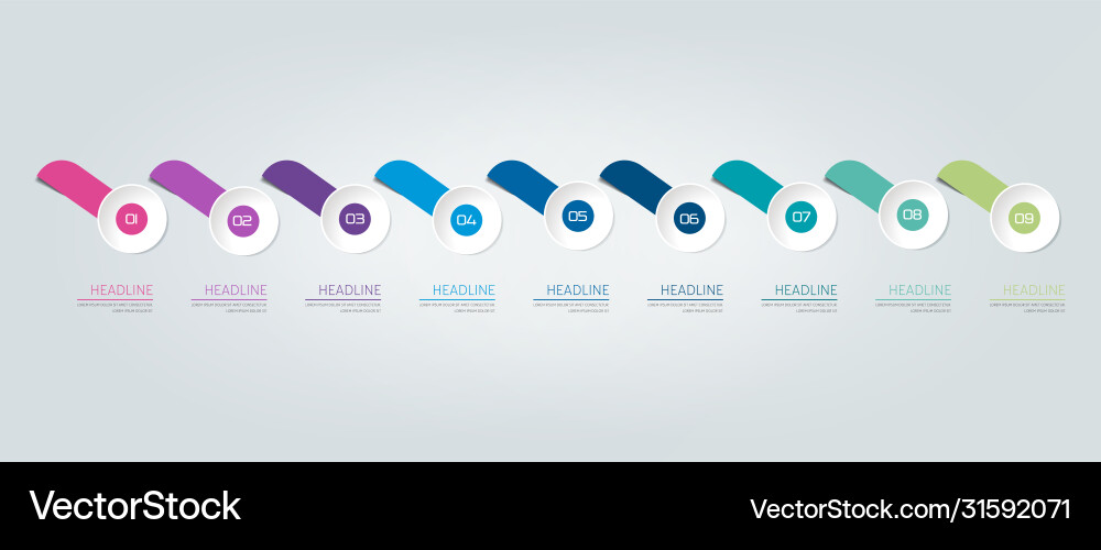 Infographic timeline report template chart scheme Vector Image