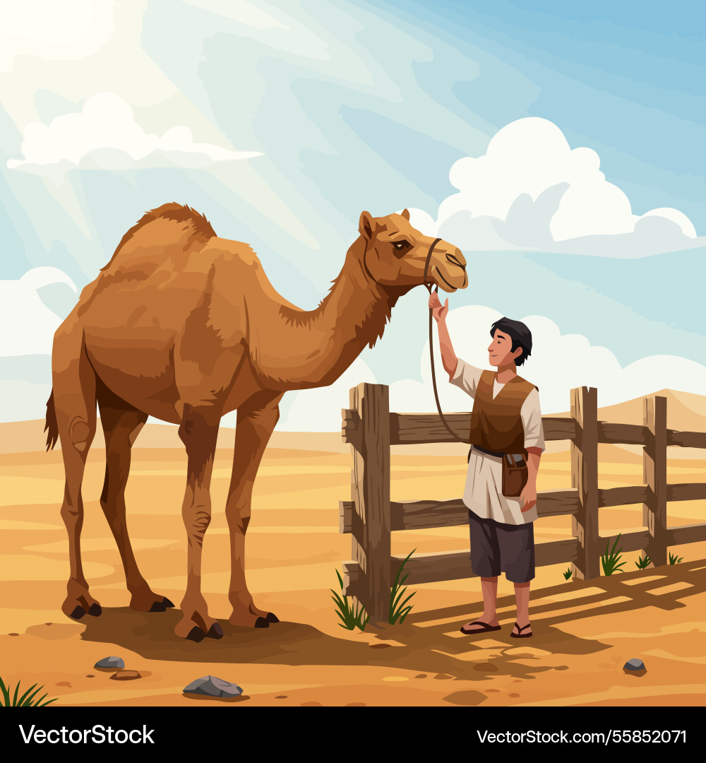 Man with camel in desert scene holding reins near Vector Image