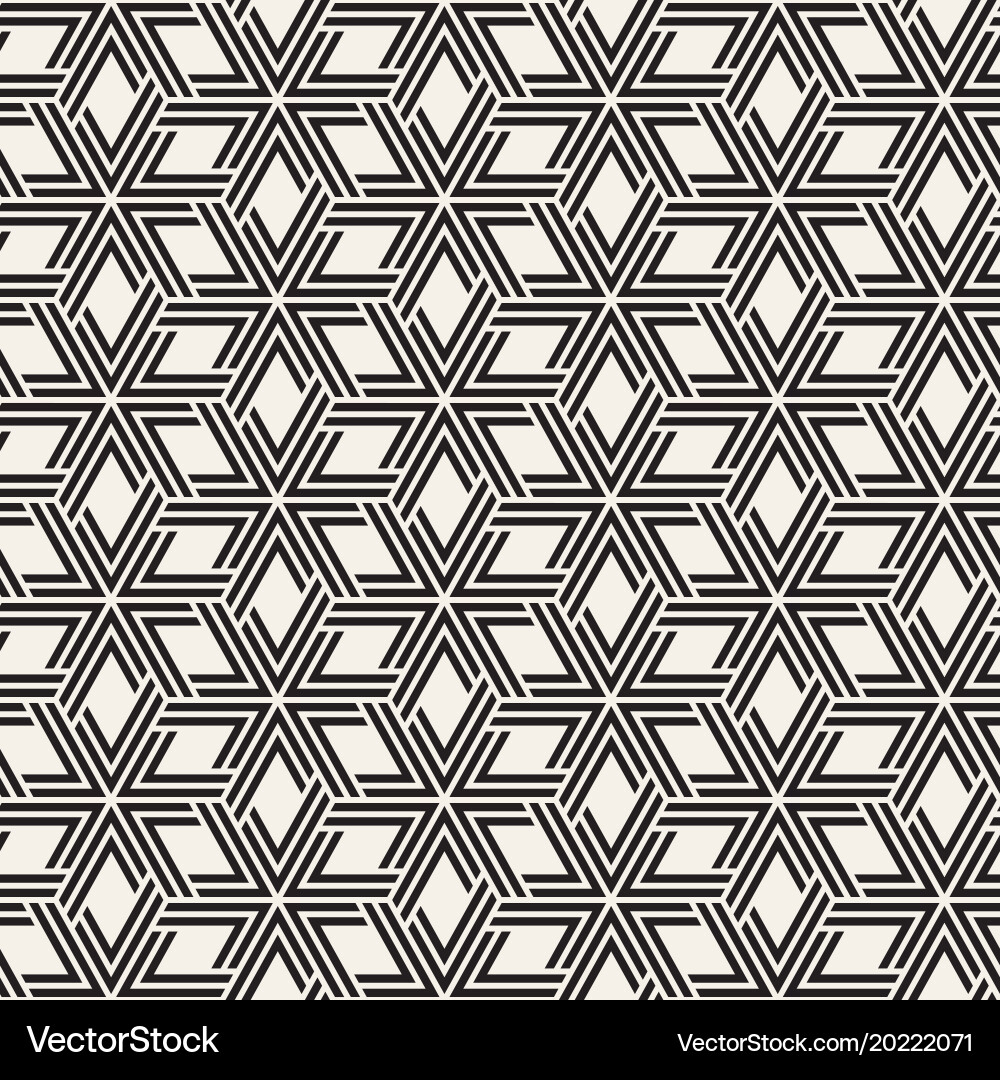 Modern Geometric Lattice Pattern vector image