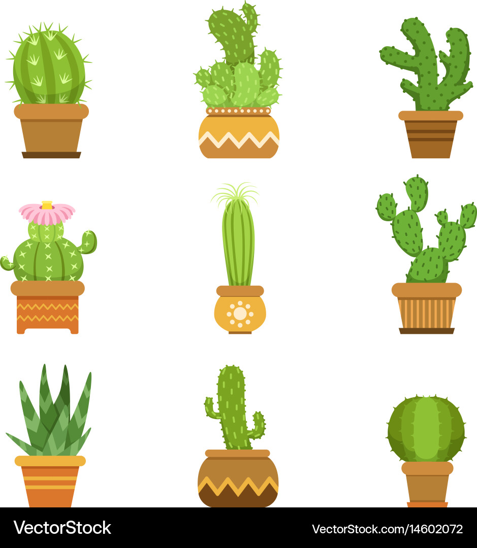 Desert Cactus Set in Pots Vector Image