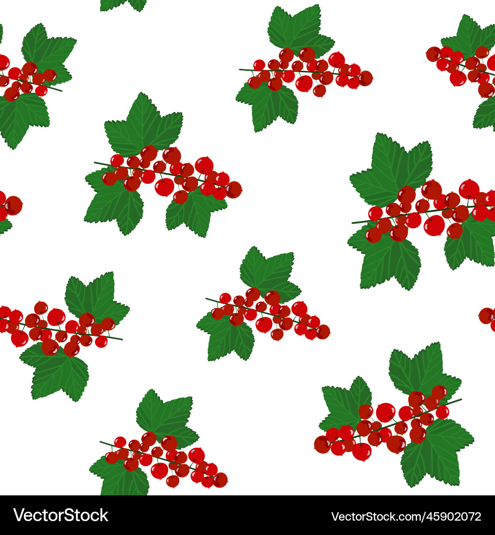 Seamless pattern with realistic red currant Seamless pattern with realistic red currant vector image