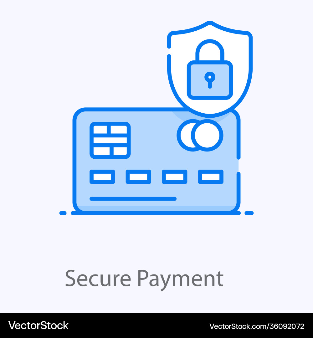 Secure payment vector image