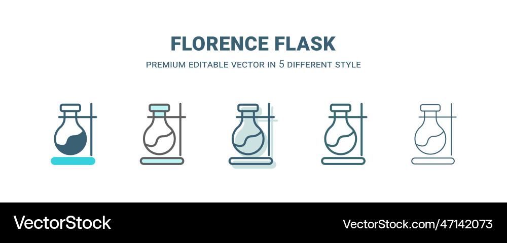Florence flask icon in 5 different style outline Vector Image