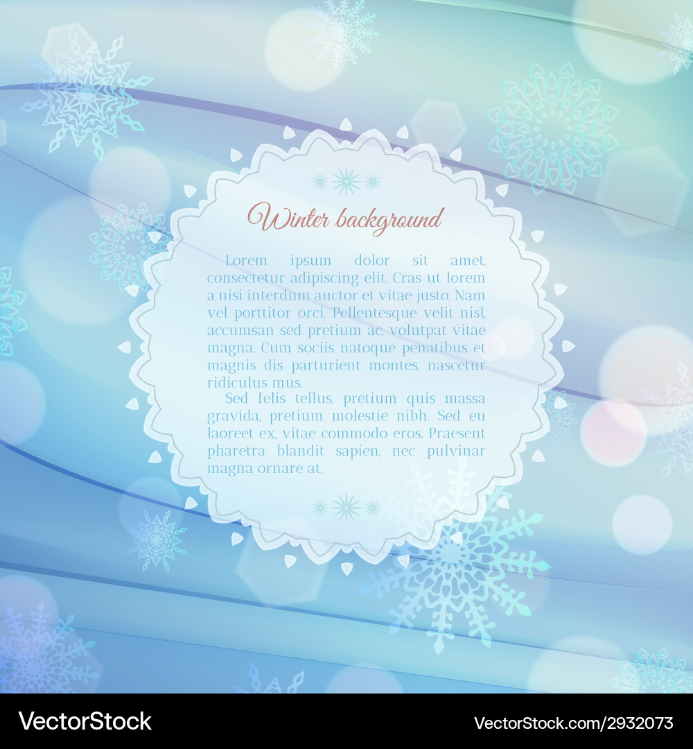 Magical snowflake background with frame for text vector image