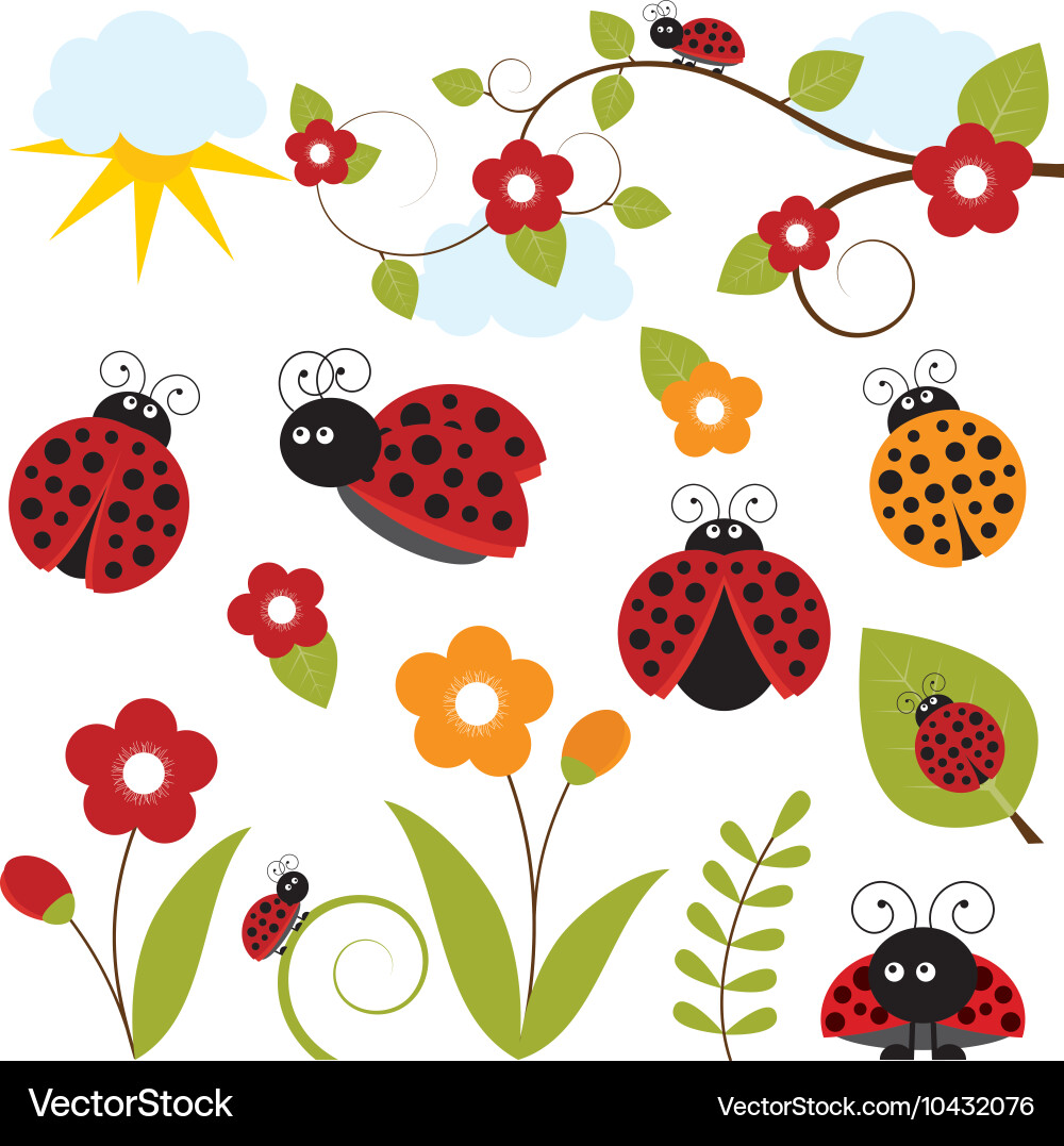 Colorful Ladybug Collection Vector Image