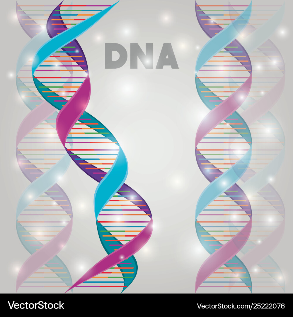 Dna molecule structure pattern Vector Image