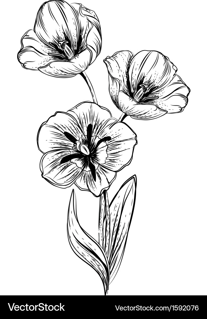 Flowers editable and scalable at any size Vector Image