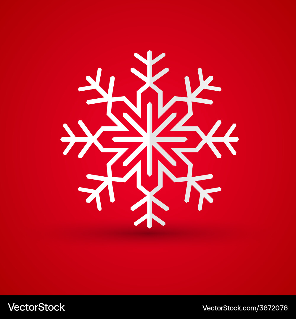 Paper snowflake on colored background Vector Image