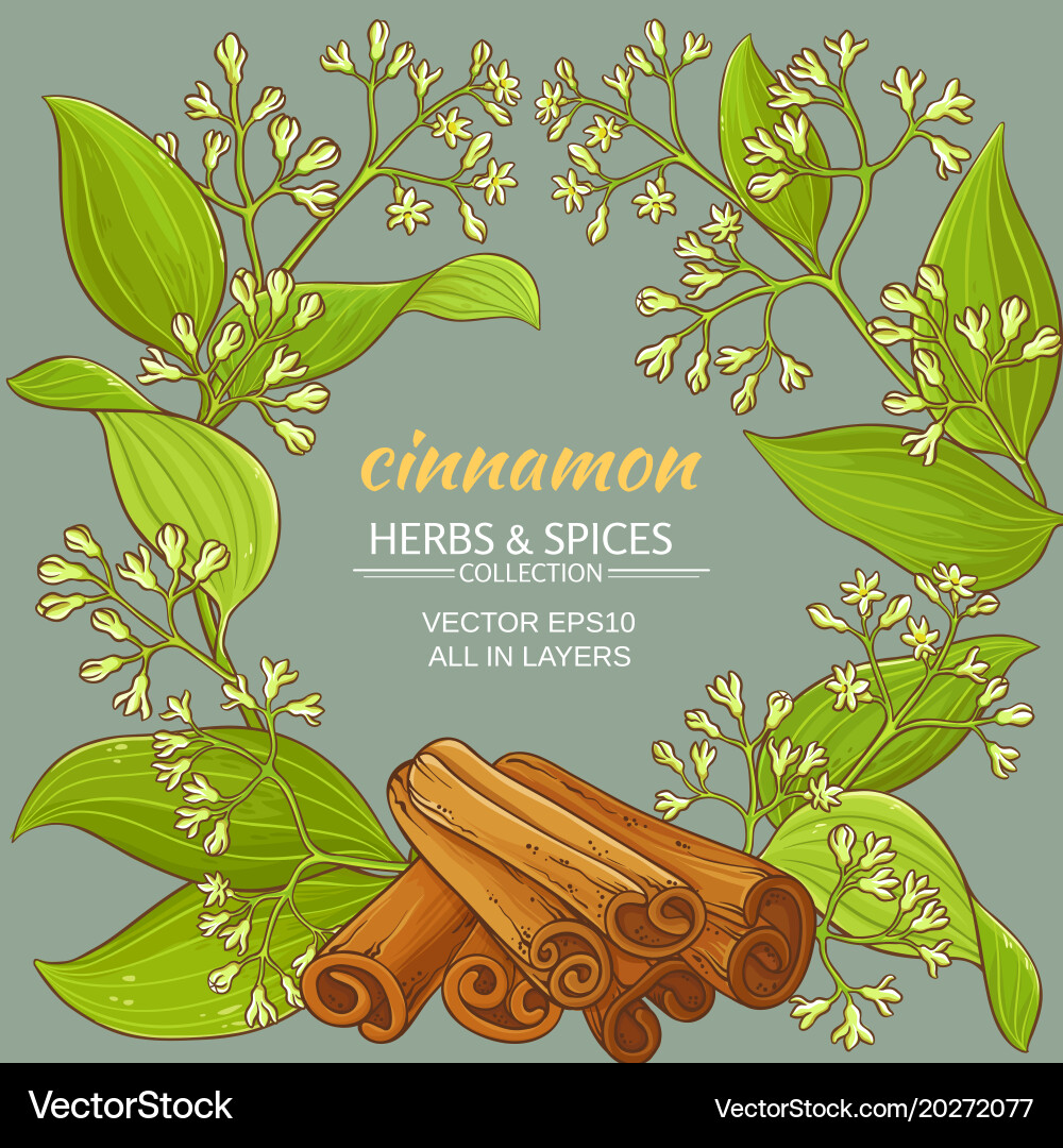Cinnamon Spice Branch Pattern Vector Image