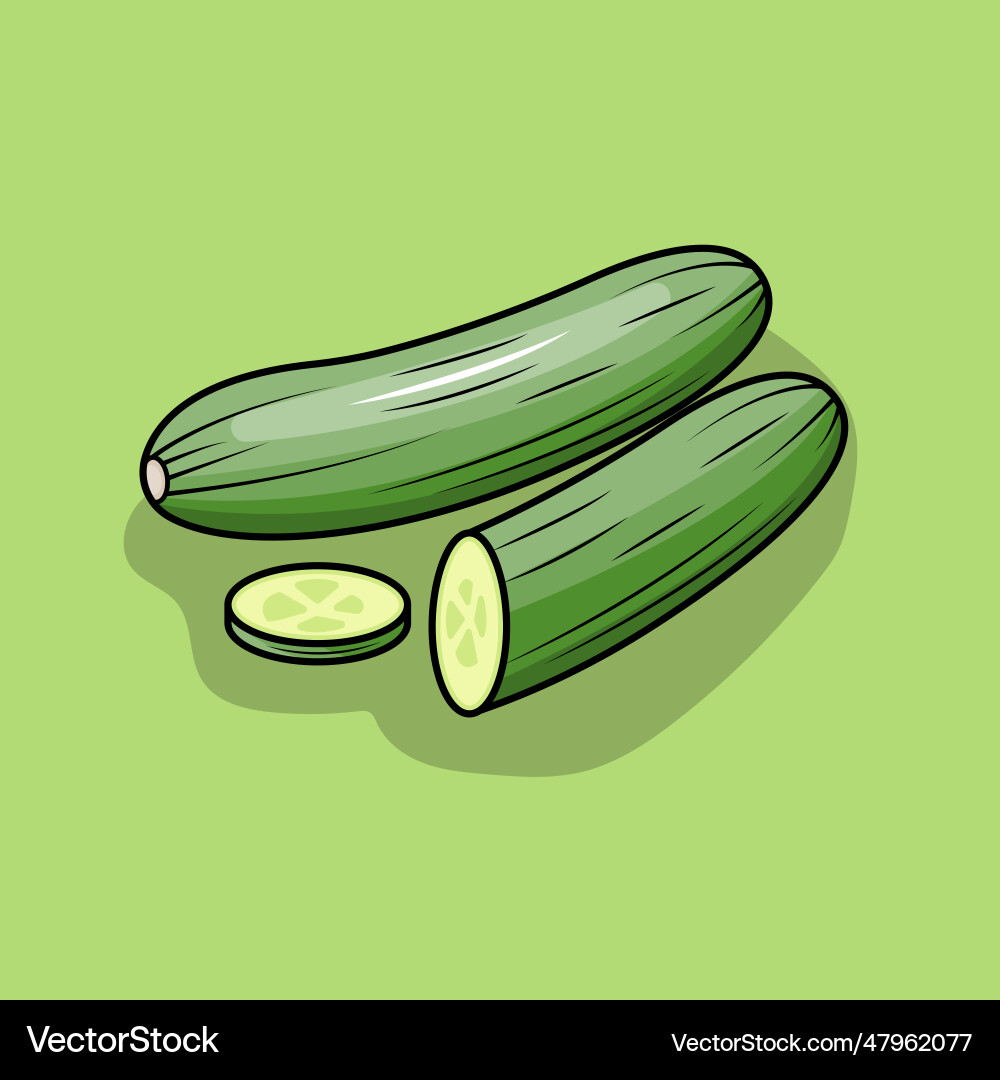 Cucumber vector image