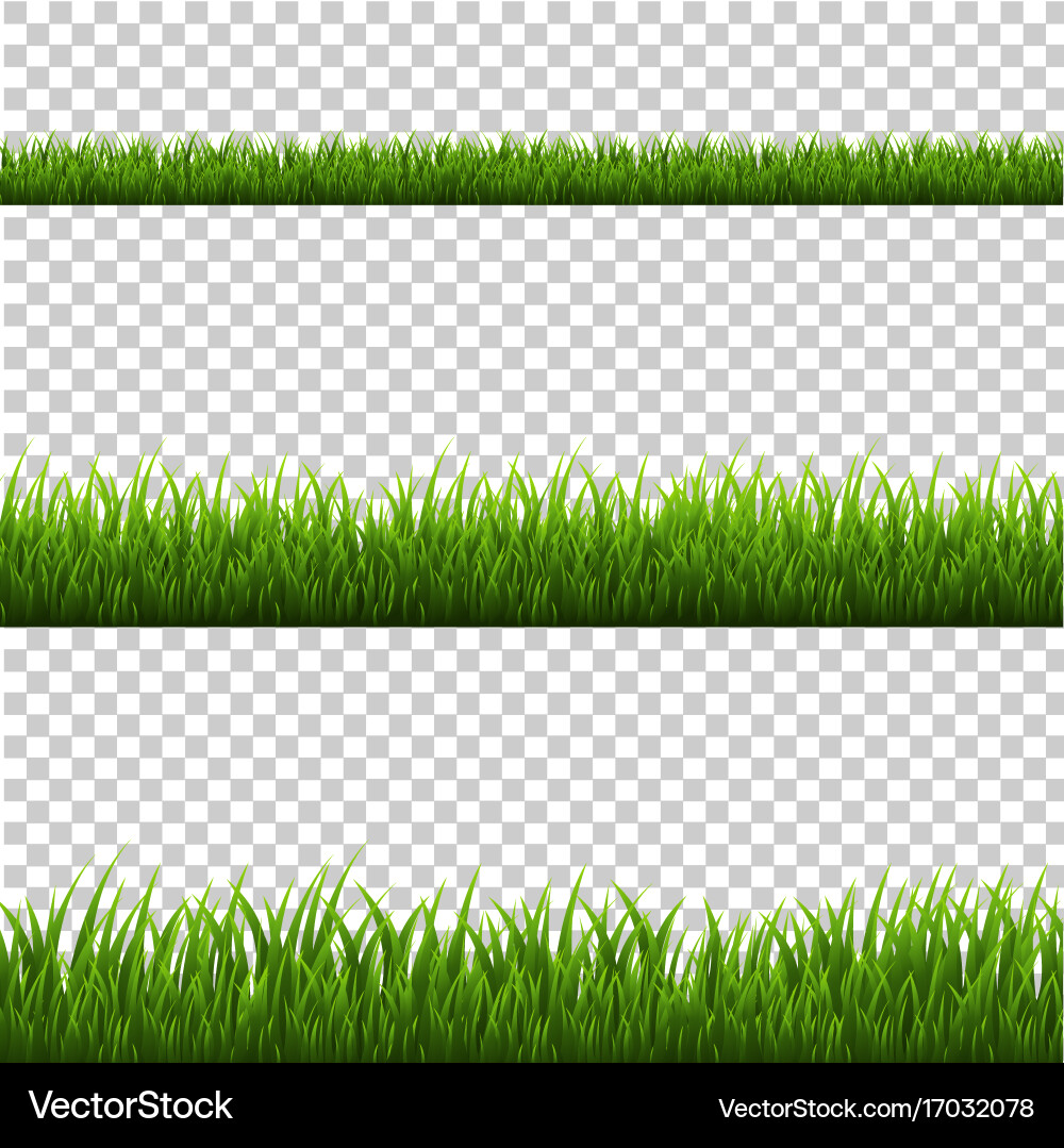 Grass Border Pattern Vector Image