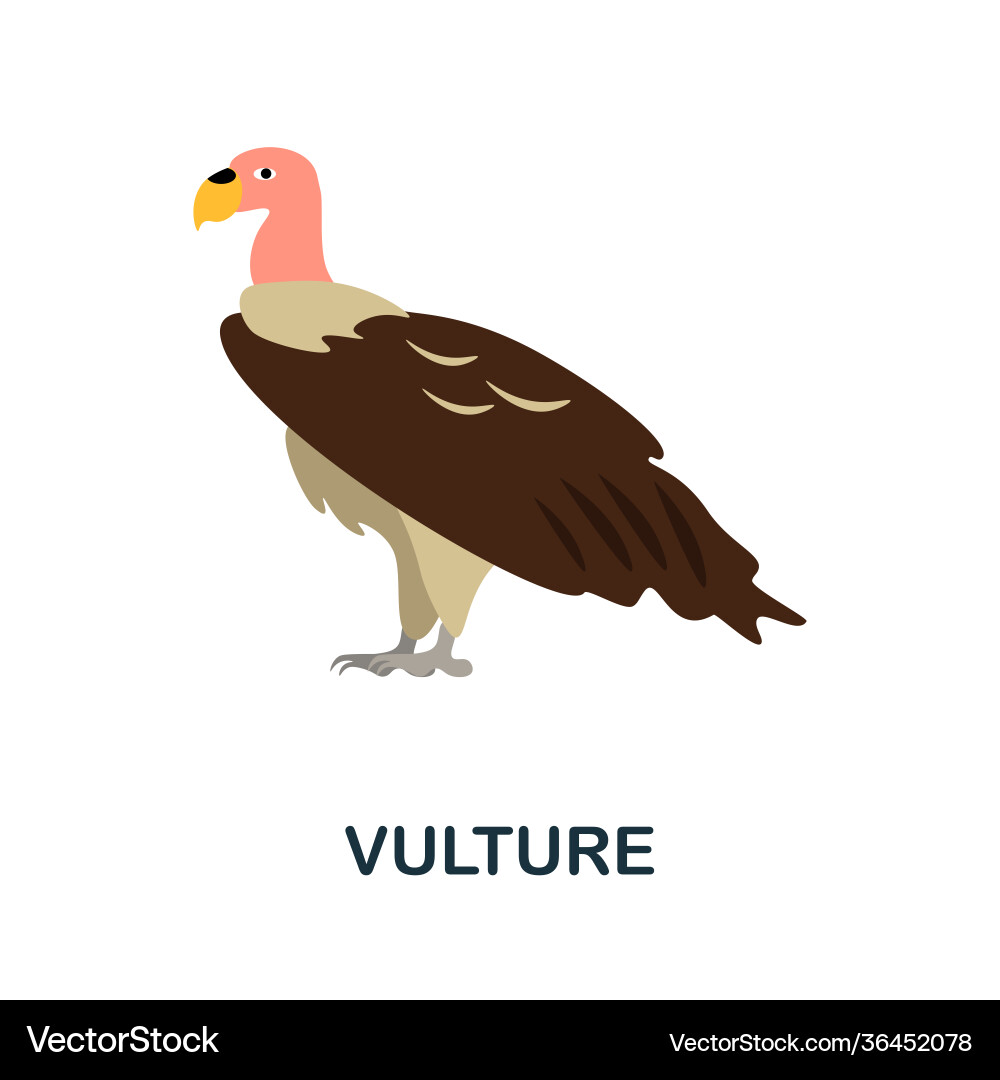 Vulture flat icon color simple element from wild vector image