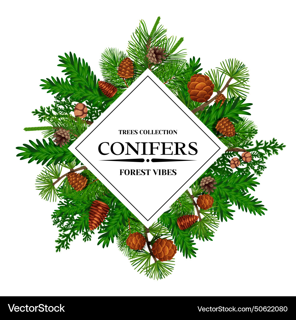 Pine tree frame Pine tree frame vector image
