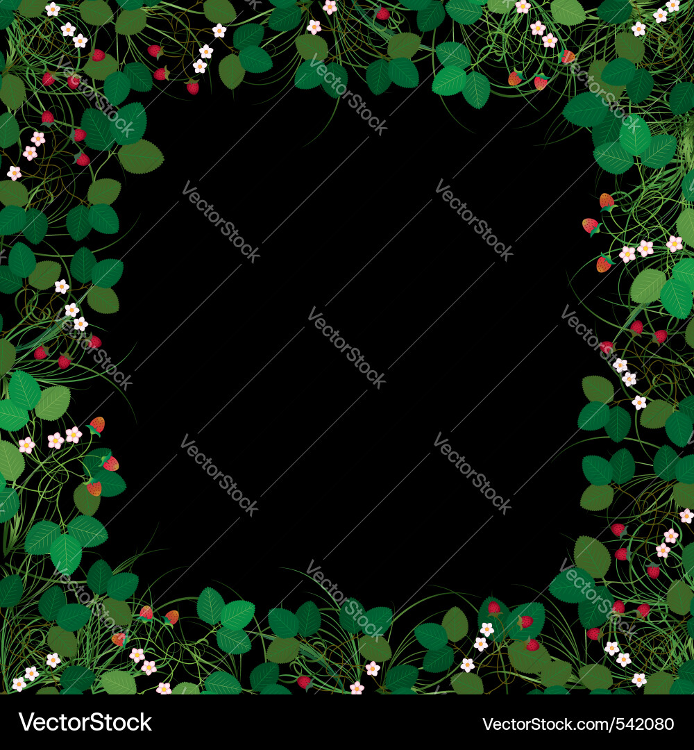Strawberries frame Vector Image
