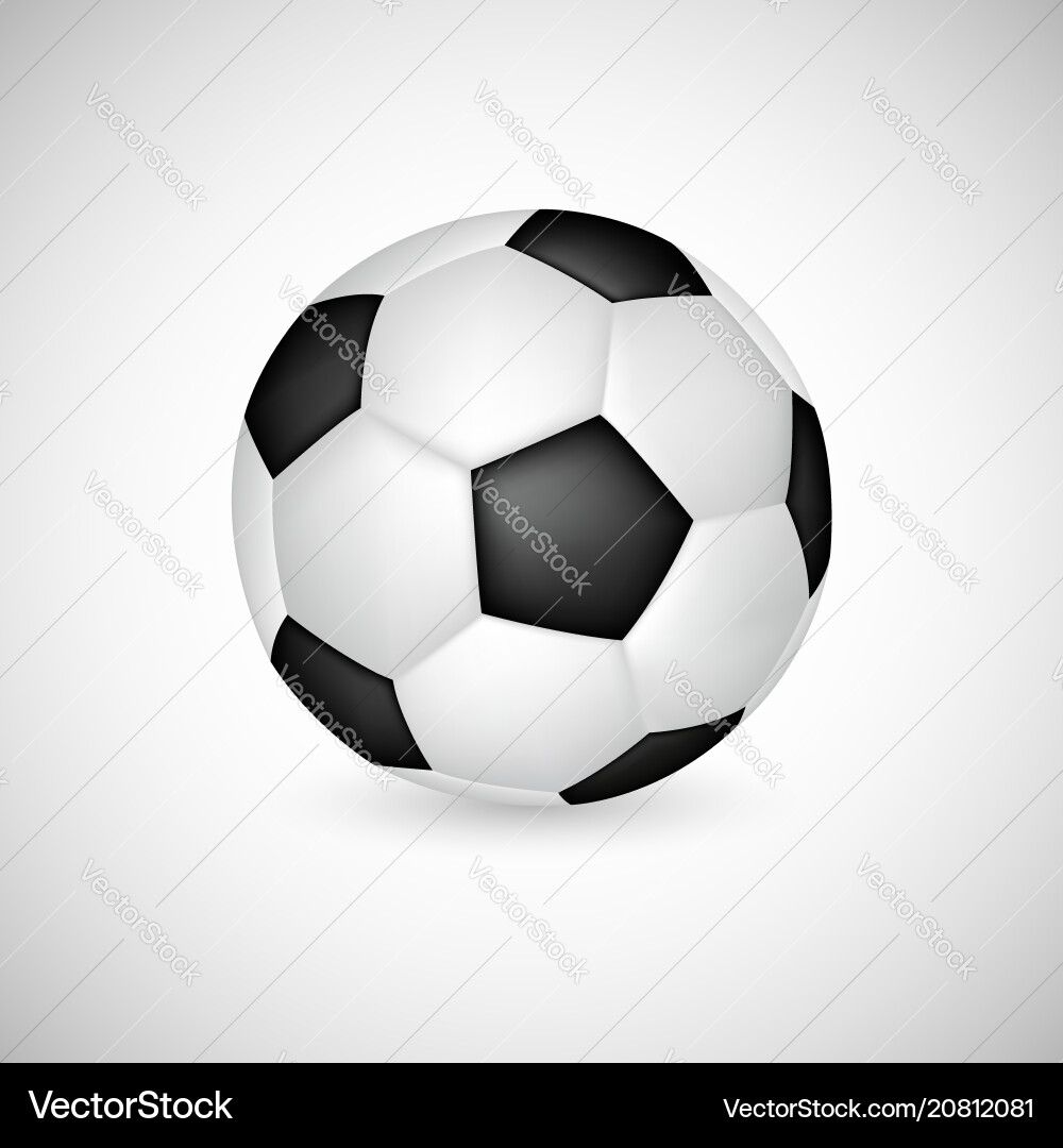 3D Soccer Ball on White vector image