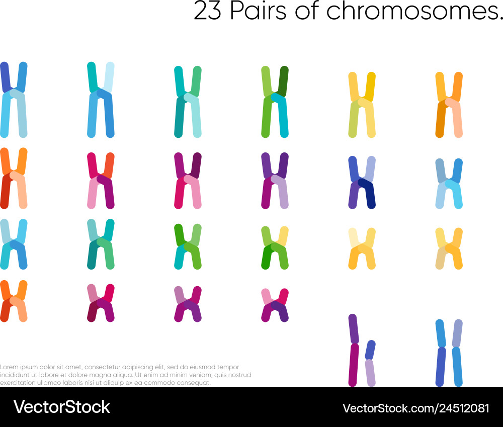 Genomic data visualization Genomic data visualization Vector Image