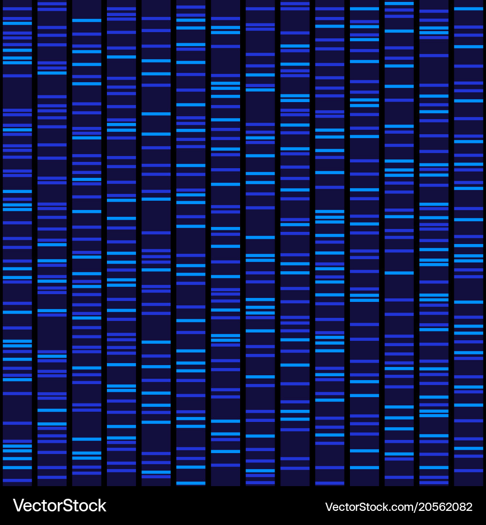 Blue Dna Sequence Results On Black Seamless Vector Image