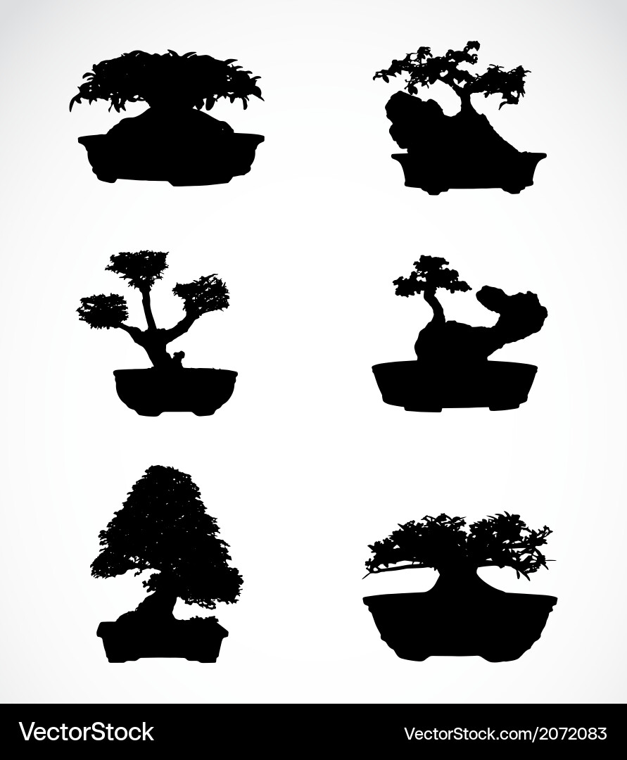 Set of trees in pots Vector Image