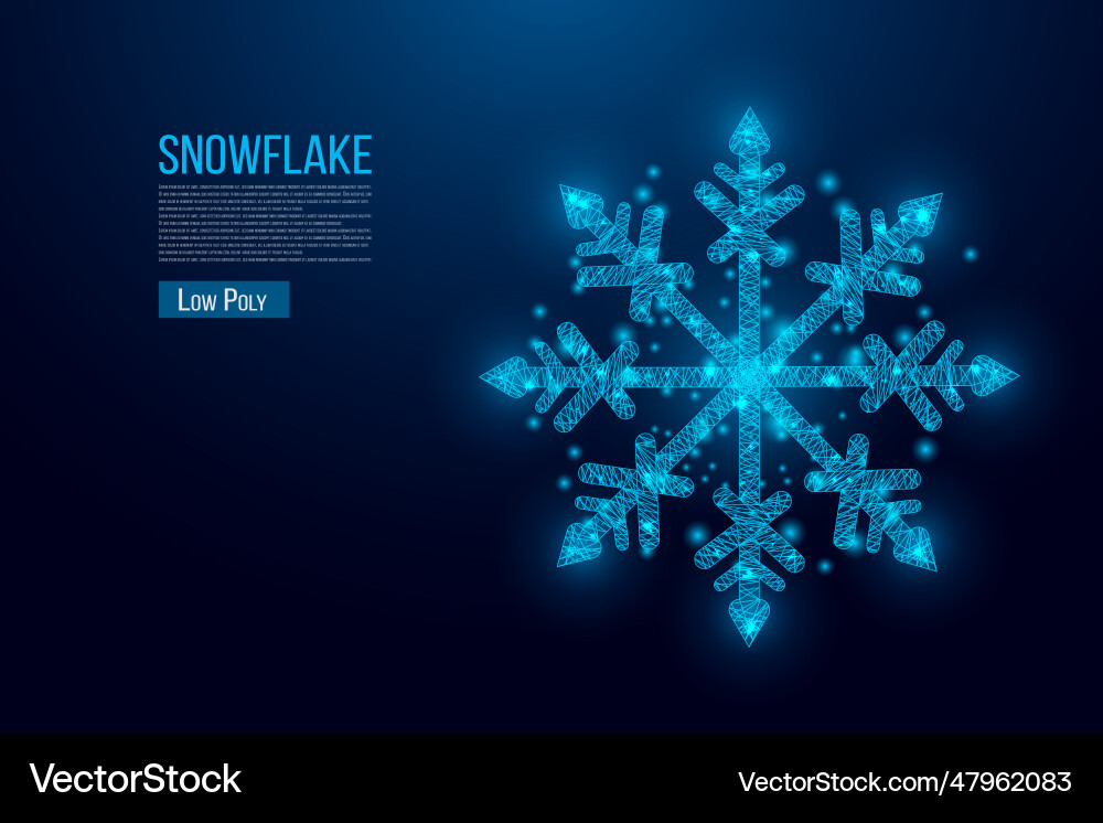 Snowflake wireframe low poly style design merry vector image