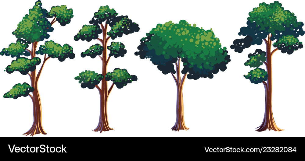 Set of different tree vector image