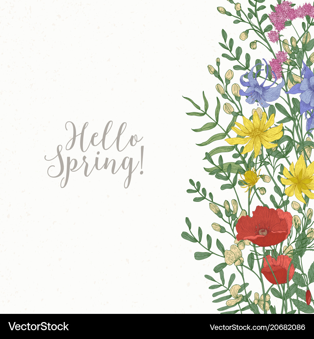 Square card decorated with wild blooming flowers Square card decorated with wild blooming flowers vector image