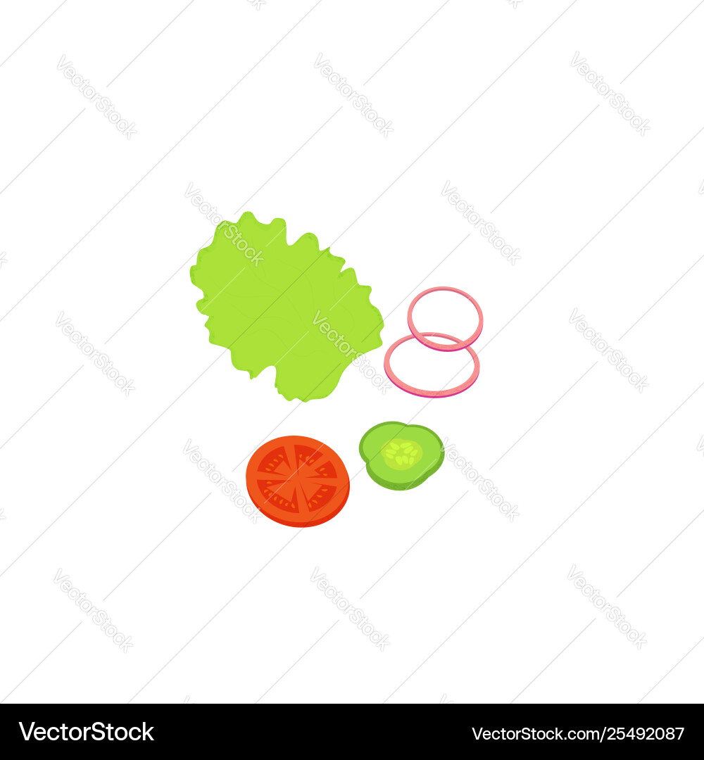 A slice cucumber tomato onion and leaf A slice cucumber tomato onion and leaf vector image