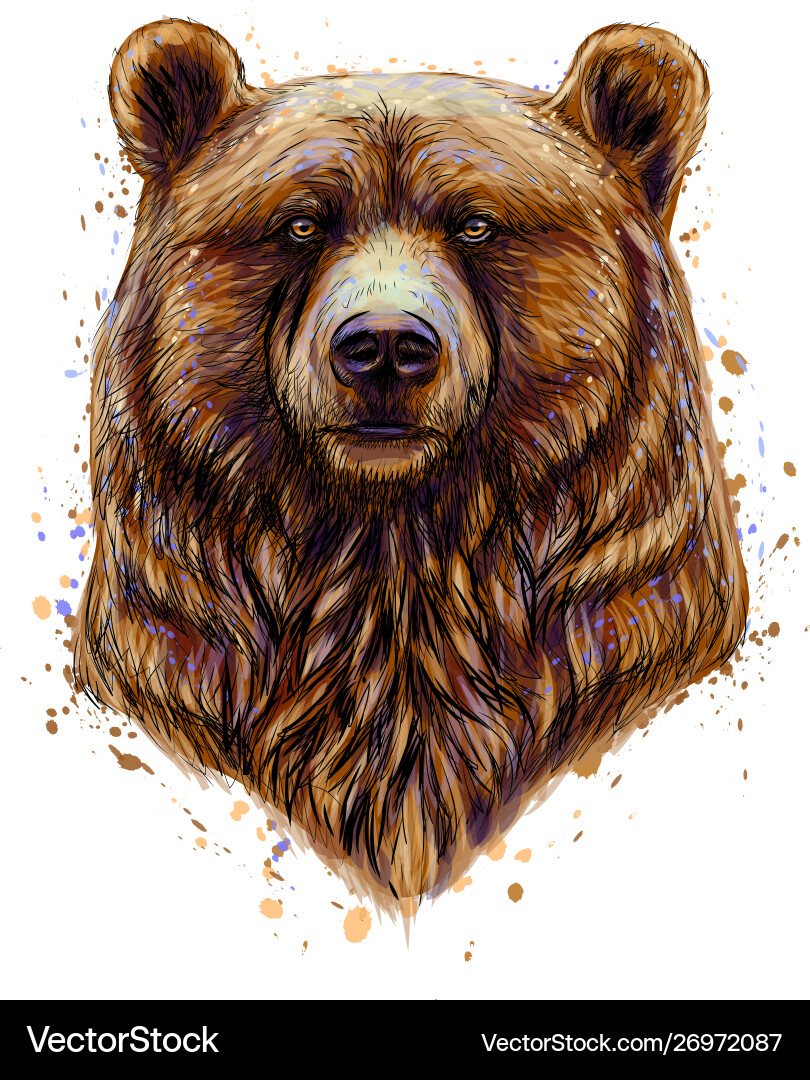 Portrait a brown bear head from splash