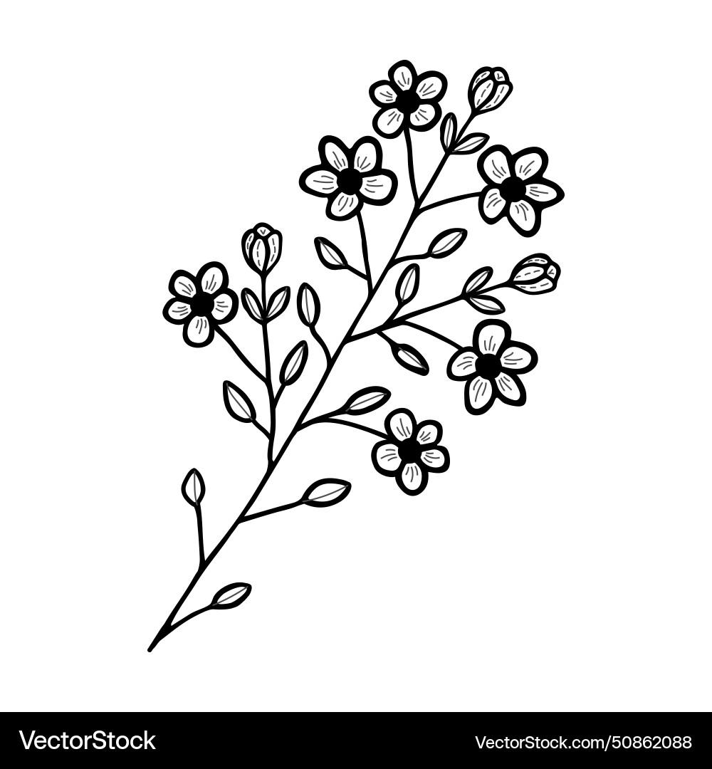 Hand drawn flower and branches doodle Hand drawn flower and branches doodle vector image
