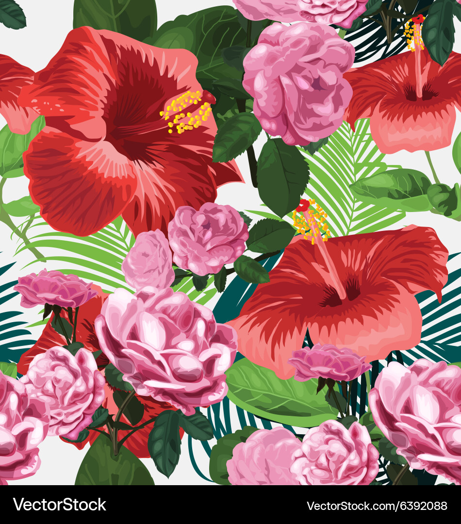 Hibiscus Royalty Free Vector Image - VectorStock