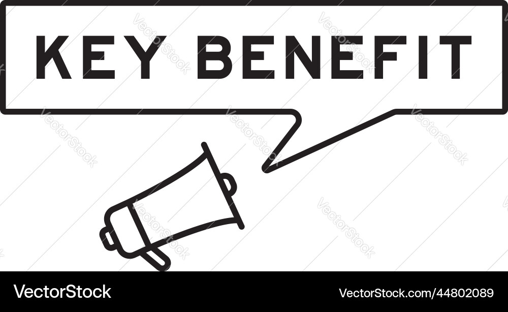 Megaphone icon with speech bubble in word key Megaphone icon with speech bubble in word key vector image