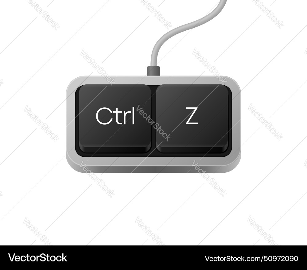 Ctrl z oder Kopieren Sie die Schaltfläche Kombination Computer Ctrl z oder Kopieren Sie die Schaltfläche Kombination Computer vektorbild