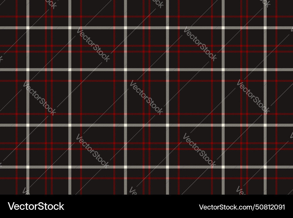 Check texture of pattern tartan fabric Check texture of pattern tartan fabric vector image