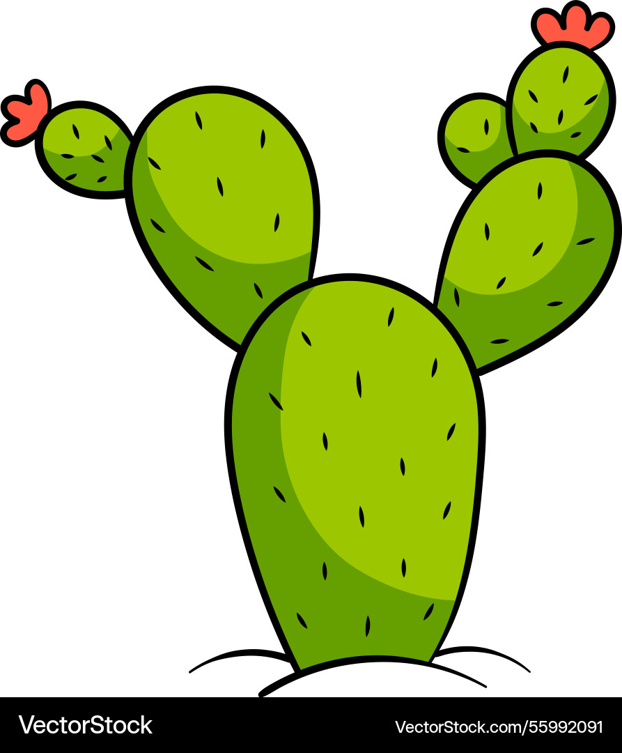 Prickly pear cactus with multiple green pads Vector Image