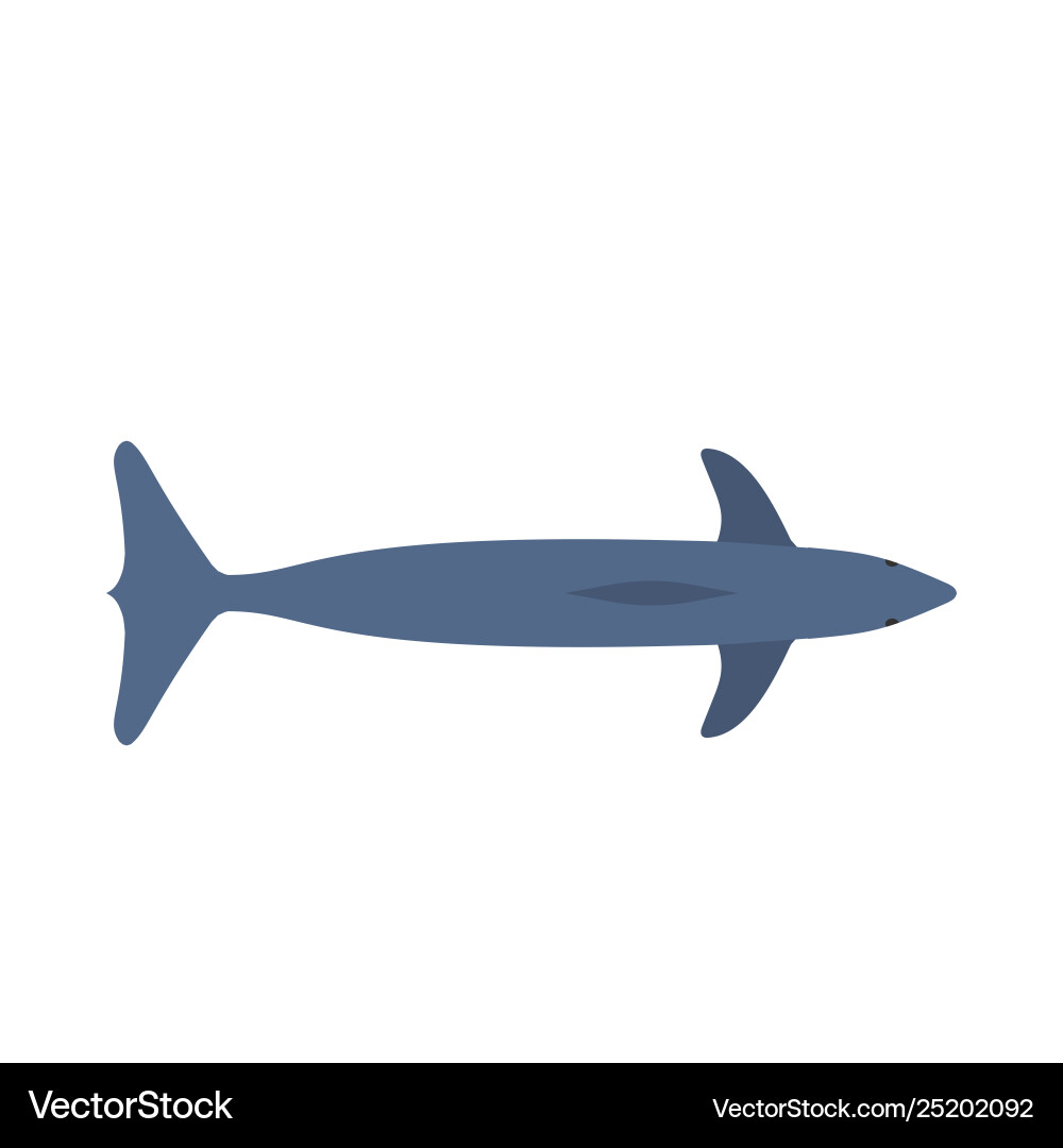 Delfin blau mammal Kunst Grafik Symbol Delfin blau mammal Kunst Grafik Symbol vektorbild