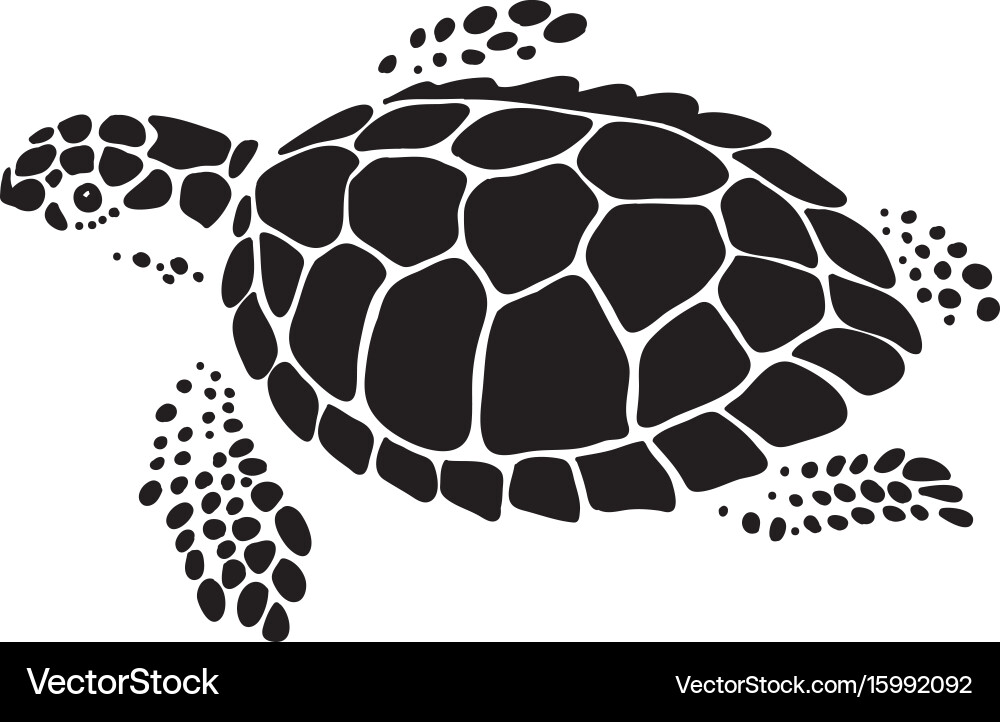 Graphic sea turtle Royalty Free Vector Image - VectorStock