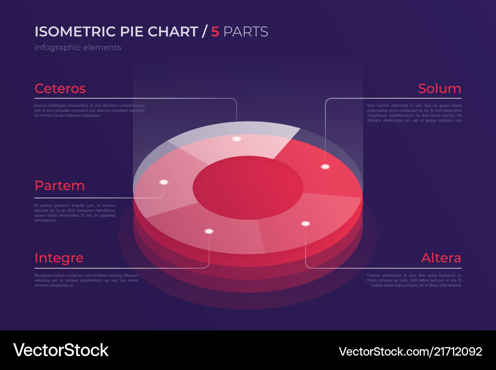 Isometric Pie Chart Template - Data Visualization vector image