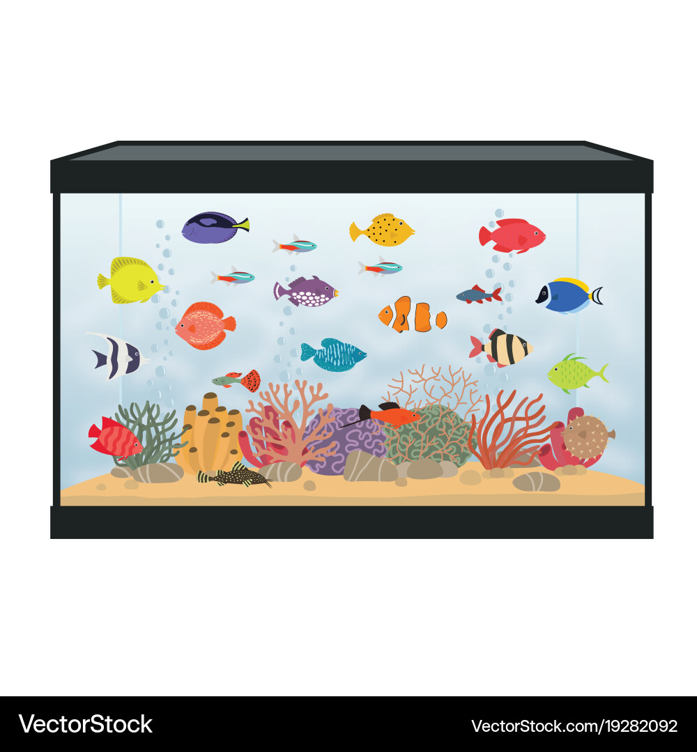 Rectangular aquarium with colorful fish Vector Image